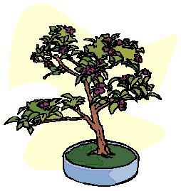 Cliparts Bloemen en planten Bonsai 