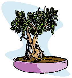 Cliparts Bloemen en planten Bonsai 