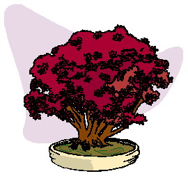 Cliparts Bloemen en planten Bonsai 