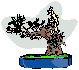 Cliparts Bloemen en planten Bonsai 