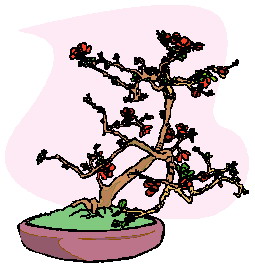 Cliparts Bloemen en planten Bonsai 