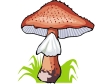 Cliparts Bloemen en planten Paddestoelen Paddenstoel