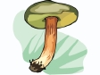Cliparts Bloemen en planten Paddestoelen 