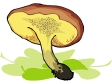 Cliparts Bloemen en planten Paddestoelen 