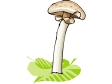 Cliparts Bloemen en planten Paddestoelen 