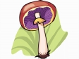 Cliparts Bloemen en planten Paddestoelen 