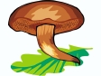 Cliparts Bloemen en planten Paddestoelen 