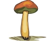 Cliparts Bloemen en planten Paddestoelen 