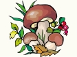 Cliparts Bloemen en planten Paddestoelen 