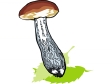 Cliparts Bloemen en planten Paddestoelen 