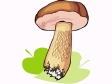 Cliparts Bloemen en planten Paddestoelen 
