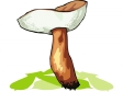 Cliparts Bloemen en planten Paddestoelen 