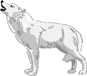 Cliparts Boerderij Wolven Witte Wolf