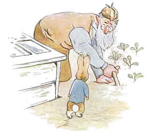 Cliparts Cartoons Beatrix potter 