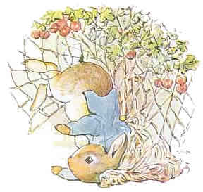 Cliparts Cartoons Beatrix potter 