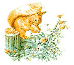 Cliparts Cartoons Beatrix potter 