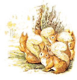 Cliparts Cartoons Beatrix potter 