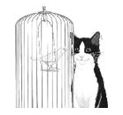 Cliparts Cartoons Felix 