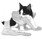 Cliparts Cartoons Felix 
