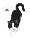 Cliparts Cartoons Felix 