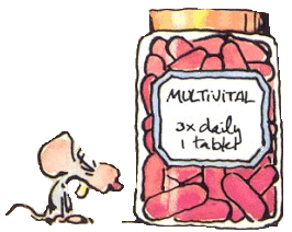 Cliparts Cartoons Leendert jan vis 