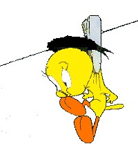 Cliparts Cartoons Tweety 