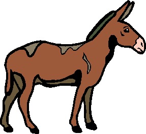 Dieren Cliparts Ezels 