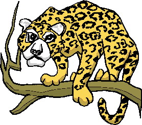 Dieren Cliparts Luipaarden 