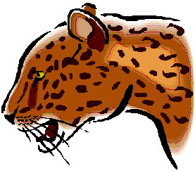 Dieren Cliparts Luipaarden 