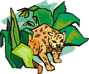Dieren Cliparts Luipaarden 