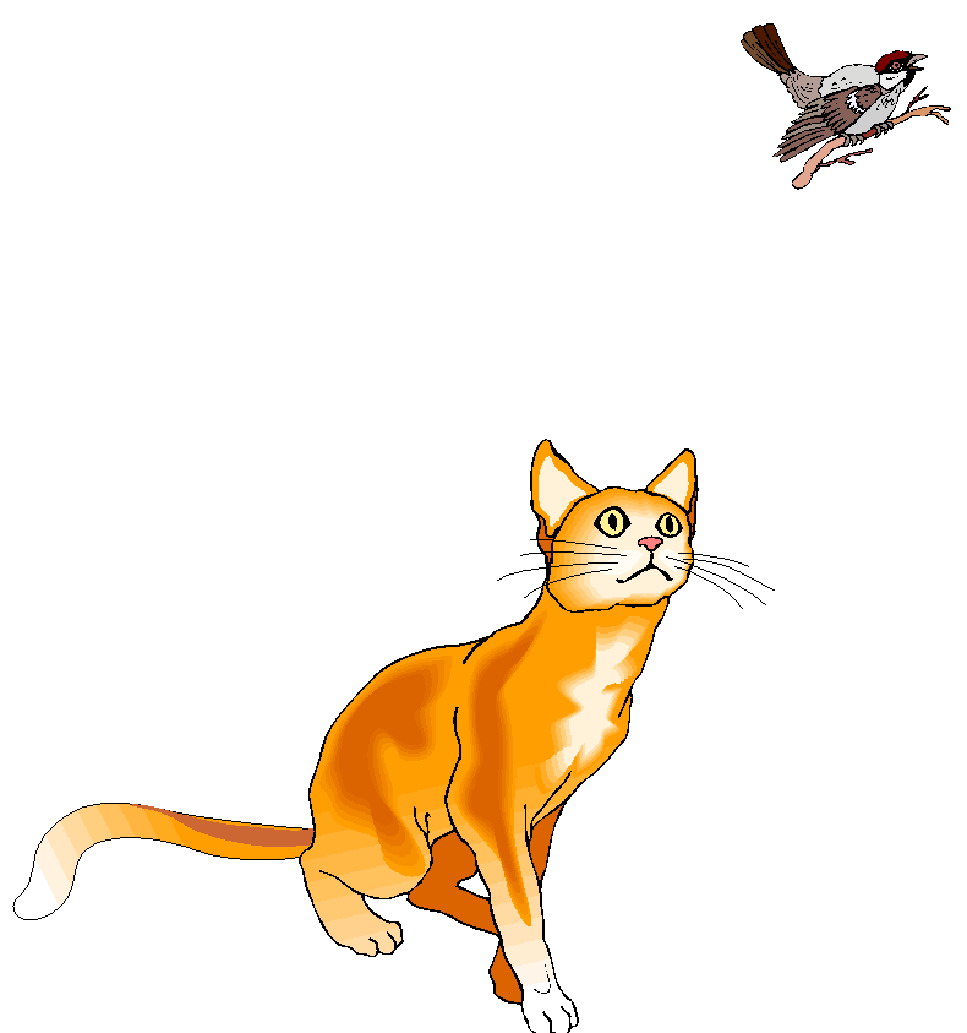 Кот и птички рисунок