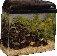 Cliparts Vissen Aquariums 