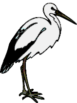 Ooievaar Cliparts Vogels 