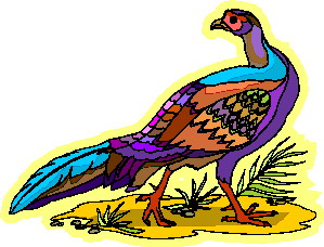 Cliparts Vogels Pauwen 
