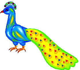 Cliparts Vogels Pauwen 