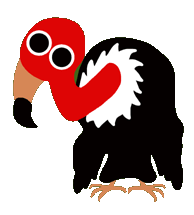 Dieren Aasgier Dieren plaatjes 