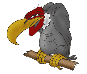 Dieren Aasgier Dieren plaatjes 