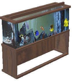 Dieren Aquarium Dieren plaatjes 