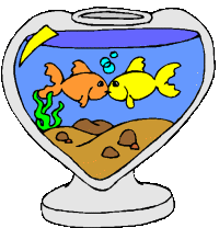 Dieren Aquarium Dieren plaatjes 