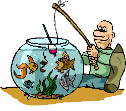 Dieren Aquarium Dieren plaatjes 