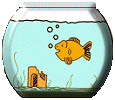 Dieren Aquarium Dieren plaatjes 