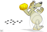 Dieren Beren Dieren plaatjes 
