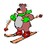 Dieren Beren Dieren plaatjes 