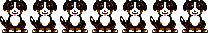 Dieren Dieren plaatjes Berner sennenhonden 