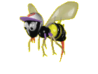 Dieren Bijen Dieren plaatjes 