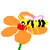 Dieren Bijen Dieren plaatjes 