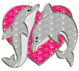 Dieren Dolfijnen Dieren plaatjes 
