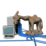 Dieren Dieren plaatjes Drommedarissen 