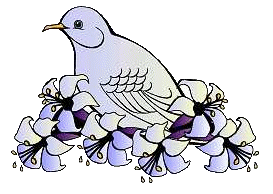 Dieren Duiven Dieren plaatjes 