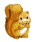 Dieren Eekhoorn Dieren plaatjes 